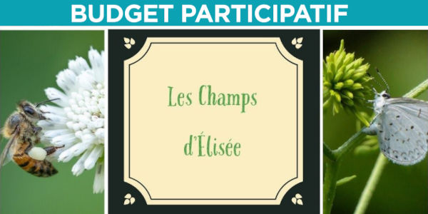 Les Champs d'Elisée BP2020 600